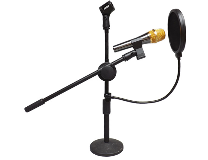 Mic wind screen